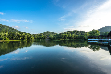 Fototapeta premium lake in forest