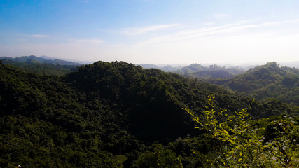 Green Forest And Mountain View With Blue Sky In Background
