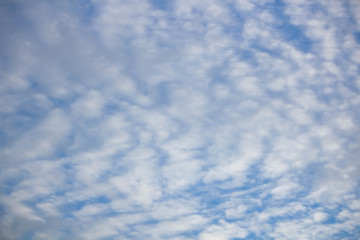 Beautiful panoramic landscape with the blue cloudy