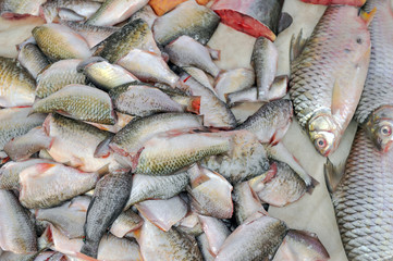 Fresh fish sales in market.