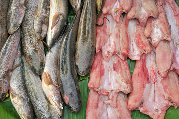 Fresh fish sales in market.