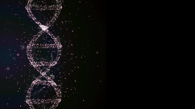 Animated DNA chain model in 3D render, floating on the side of screen with copyspace for additional educational information.