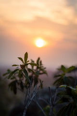 Obraz premium sunset 