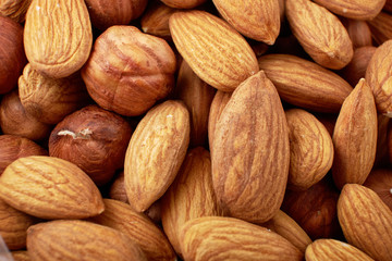 Mixed nuts Foundation-hazelnuts, walnuts, almonds - with copy space. The view from the top or laying flat