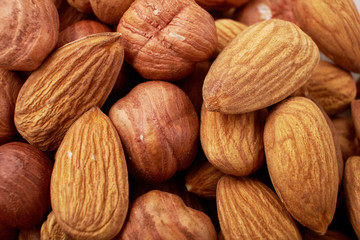 Mixed nuts Foundation-hazelnuts, walnuts, almonds - with copy space. The view from the top or laying flat