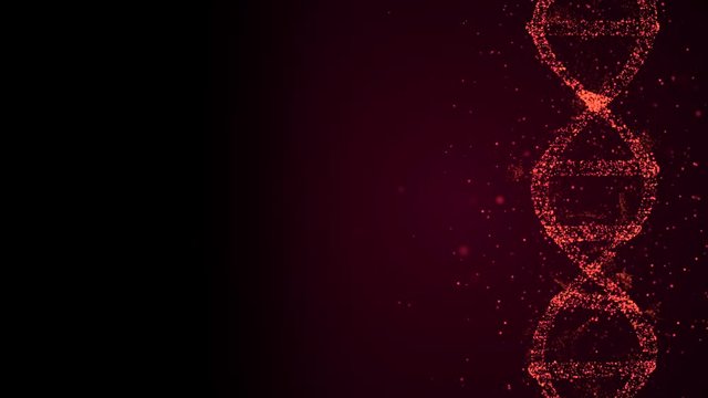 Animated presentation of infected dna cells rotating on black background and beaming red light.