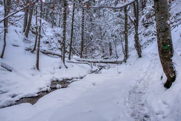 Winter landscape in the valley of mountains with a beautiful stream and snow around, Slovakia Mala Fatra, Janosik Holes