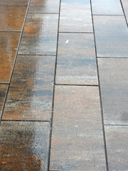 wet from rain gray-orange motley paving slabs