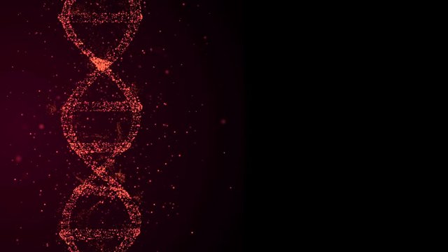 Technology and programming concept. Dna molecule over black background, collecting personal genetic information.