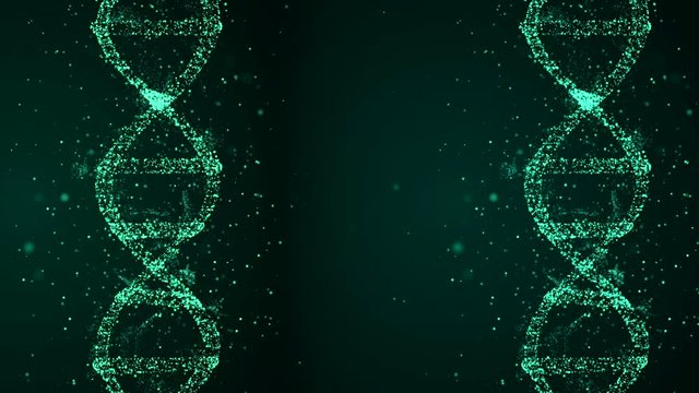 DNA forensics research. Evidence 3d animation of dna spirals as essential instrument in crime investigation.