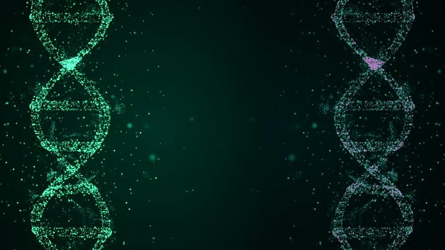 DNA division concept. Loopable abstract background of dna duplicating its contents and dividing into two new cells called daughter cells.