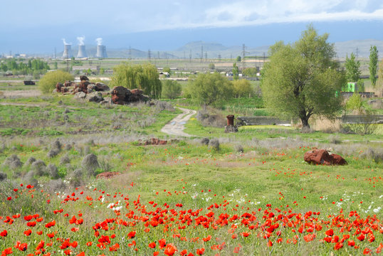 Flowering, blooming poppy and view at Metsamor power plant (power station). Metsamor village, Armavir Region, Armenia.