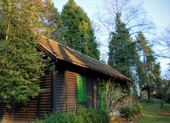 Wooden house in a forest with green windows