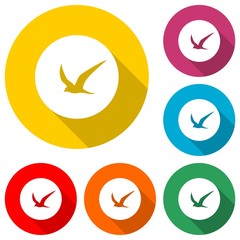 Flying bird in the circle, Flat design with long shadow