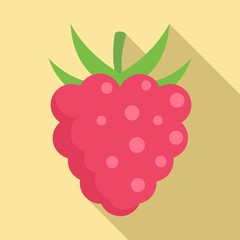 Delicious raspberry icon. Flat illustration of delicious raspberry vector icon for web design