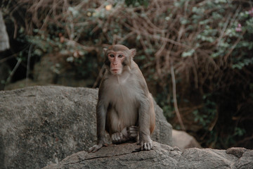 park Asia China travel