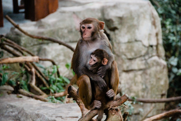 park Asia China travel