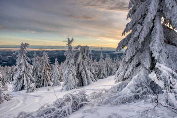 Beautiful winter landscape with snow covered trees , czech beskydy 