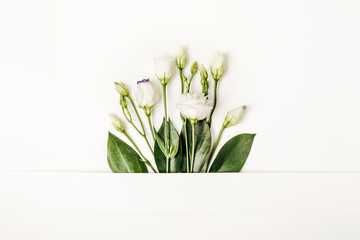 Creative layout made with white flowers on white background. Spring minimal concept, copy space