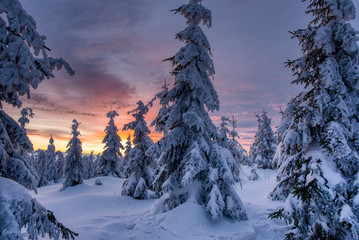 The path on a fresh snow to the mountain village in majestic red light of sunrise. Cold winter valley. czech beskydy