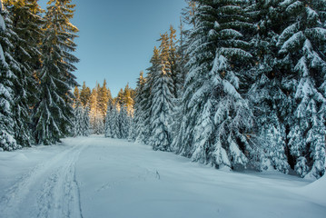 Obraz premium Beautiful winter nature landscape, amazing mountain view. Scenic image of woodland. Frosty day on ski resort. europe czech , beskydy