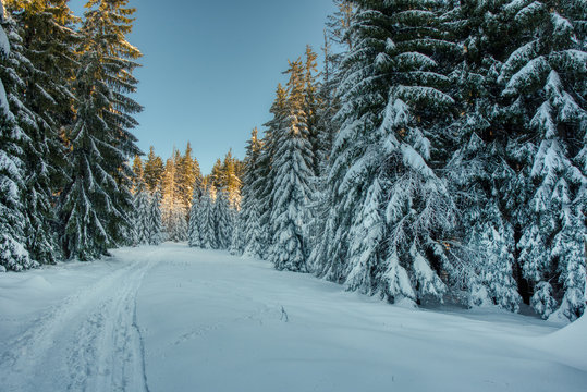 Beautiful winter nature landscape, amazing mountain view. Scenic image of woodland. Frosty day on ski resort. europe czech , beskydy