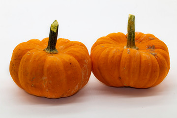 pumpkin on a white background