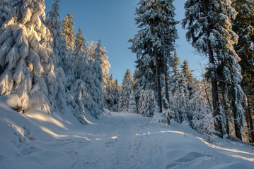 Beautiful winter nature landscape, amazing mountain view. Scenic image of woodland. Frosty day on ski resort. europe czech , beskydy