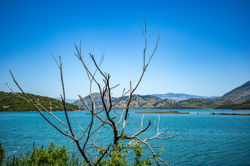 Fototapeta premium Sunny spring day view of salt lagoon lake, valley and mountain in the national park of Butrint in Albania, Europe. Dead dry tree branch in the foreground.