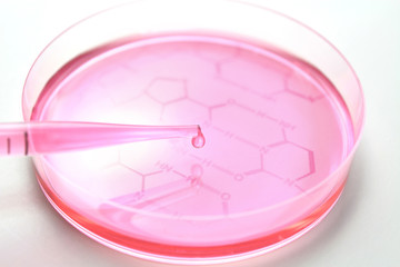 研究イメージ　遺伝子組み換え
