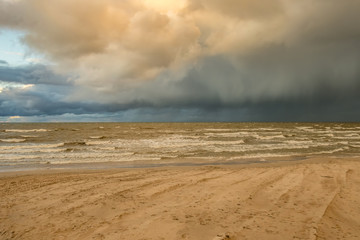 The Baltic Sea coast - 313378748