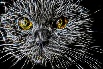 Portrait of a gray cat from fractals on a black background