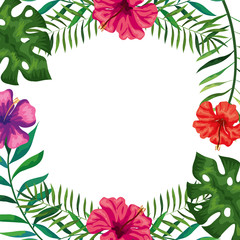Fototapeta na wymiar frame of flowers with branches and leafs vector illustration design