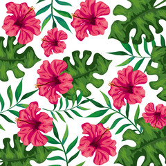 background of flowers of pink color with branches and leafs vector illustration design