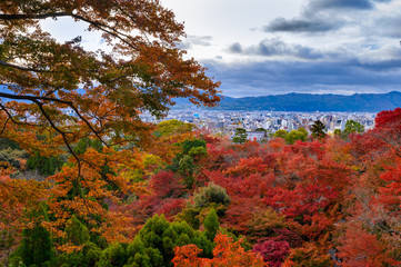 Fototapeta premium Foliage colors in Kiyomizu- dera shrine over Kyoto view.