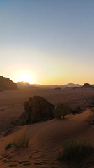 Fototapeta na wymiar Sunset in Wadi Rum desert. Sundown and rocky mountains. Safari ride on pick up trucks. Surface of Mars.