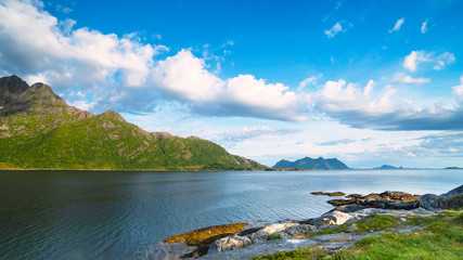 Naklejka premium Summer sunny landscape of Lofoten islands, Norway. Fjord surrounded by green hills, rocky shore.