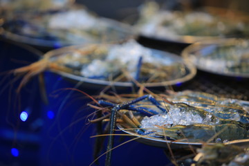  giant river prawn or giant freshwater prawn