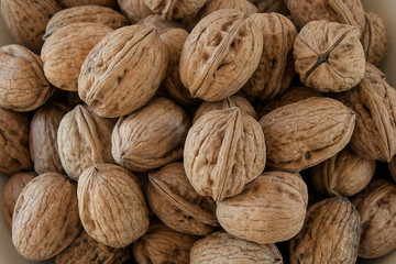 Wallnüsse sind nahrhaft, gesund und dekorativ - Die Bäume können bis zu 150 Jahre alt werden und Erträge von 150 kg Nüssen pro Baum sind möglich