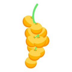 Yellow berry branch icon. Isometric of yellow berry branch vector icon for web design isolated on white background