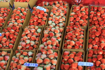 straw berry market in chiang mai fruit market