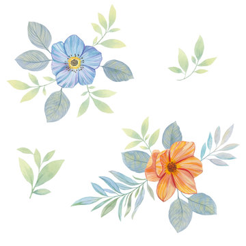 Flower Design elements. Elegant card. Spring decorative bouquet of flowers. Set of elements for greeting cards.