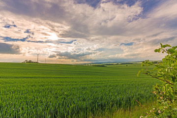 Rural panorama.