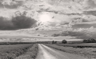 Rural panorama.