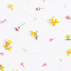 Spring small pink yellow flowers, daisy isolated on white background, frame.