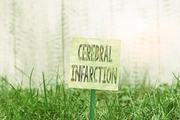 Writing note showing Cerebral Infarction. Business concept for focal brain necrosis due to complete and long ischemia Plain paper attached to stick and placed in the grassy land