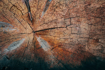 Textured timber use for background.