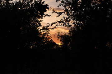 Natural sunset over the trees. Dark photo with bright sunlight