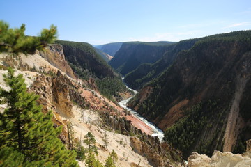 The Grand Canyon of Yellowstone National Park