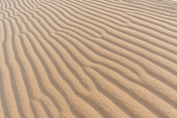 Wave of sand texture. Mui Ne,Vietnam, copy space